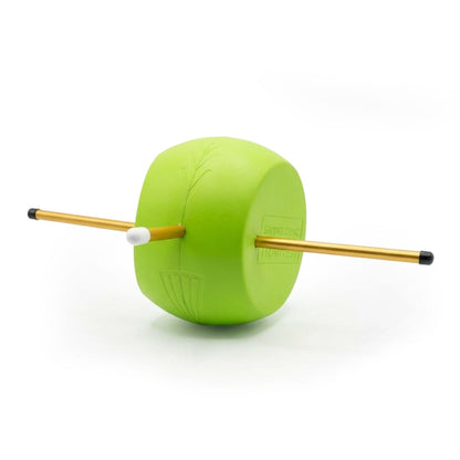 Swing Sync Professional Trainer