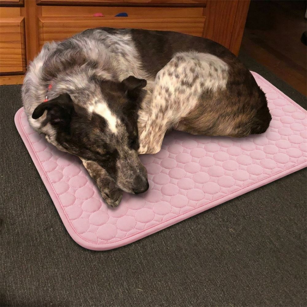 Dog napping on the pink cooling mat
